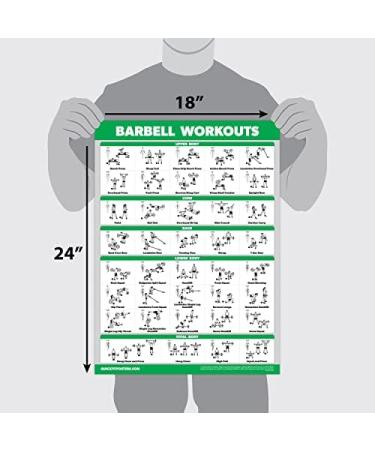 Quickfit Dumbbell & Barbell Training Poster Set - Laminated 18x27 | International Shipping Available - Buy Online on SooperMarket.com
