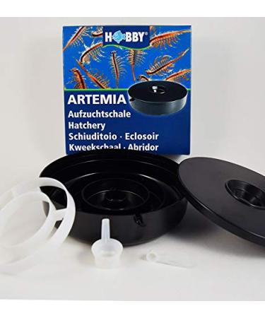 Brine Shrimp Hatchery Dish (Eggs Sold Separately.)