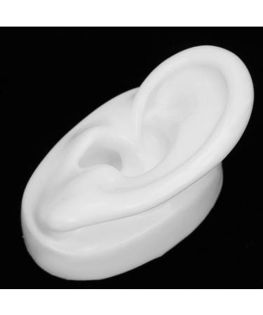 Silicone Ear Model - Realistic Artificial Ear for Hearing Aids Display & Ear Impression Exercise (Left Ear) - International Shipping - Buy Online on SooperMarket.com