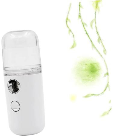 BELLIFFY 1pc Mini Humidifier Nano Mist Sprayer Skin Care Tools Nano Facial Mister Portable Humidifer White - Buy Online on SooperMarket.com