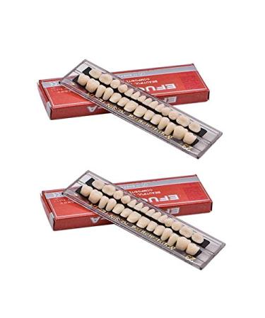 2Sets Dental Acrylic Resin Denture Tooth Kit False Tooth 23 A2 for Halloween Horror Teeth(28 Pcs/Set)