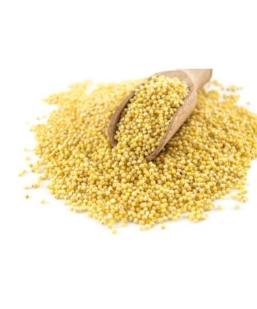 Seelans Kodo Millet | Varaku Rice 500g | Varauku | Protein & Fiber | Indian Origin