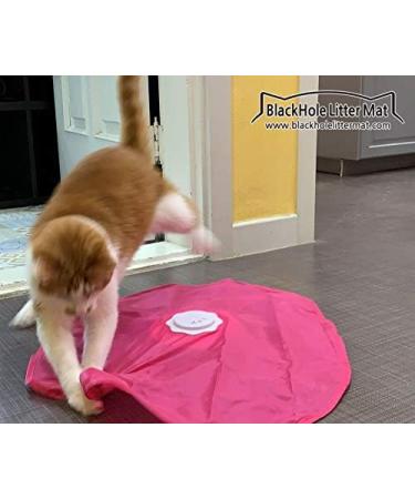 Blackhole Catch The Tail Cat Toy Interactive Play-Catch Electric Rotating Feather Motion Automatic Best Undercover Mouse Under Blanket Cat Toy - Buy Online on SooperMarket.com