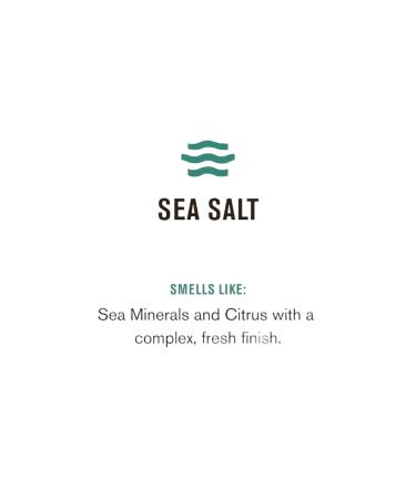 Shop EVERY MAN JACK Sea Salt 2 in 1 Shampoo & Body Bar - 5 OZ | International Shipping Available - Buy Online on SooperMarket.com