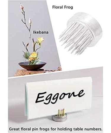 Kenzan Floral Frog 23mm Stainless Steel Pin Flower Arranger Holder for Small Vase (3Pcs) - Buy Online on SooperMarket.com