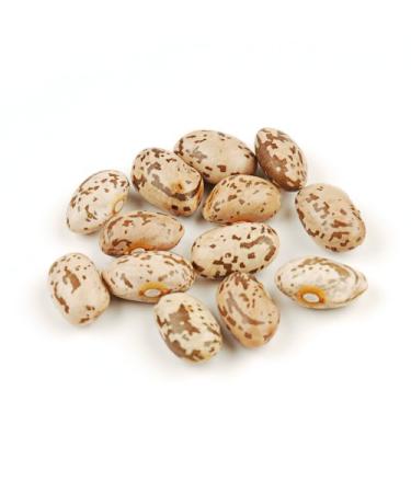 Organic Pinto Beans, 10 Pound Box