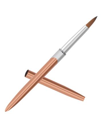 minkissy Metal Rod Nail Art Pen Nail Art Liner Manicure Liner Brush Striping Manicure Tools Liner Brush for Nails Gel Nail Art Drawing Pens Nail Art Pens Aluminum Modeling Line Pen 17.40X1.00X1.00CM As Shown