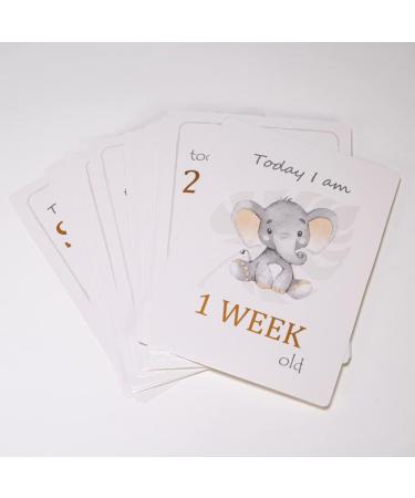 Cute Baby Elephant Grey Milestone Cards Set of 24 for Newborns | Perfect Baby Shower Gift Idea - Buy Online on SooperMarket.com