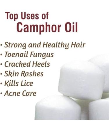 Camphor Oil (Cinnamonutn camphora) 100% Natural Pure Undiluted Uncut Carrier Oil 100ml with Dropper Camphor 100 ml with dropper - Buy Online on SooperMarket.com