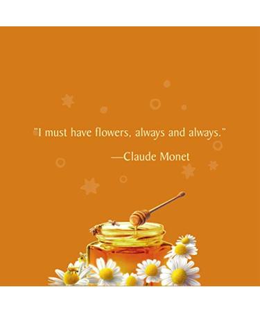 Celestial Seasonings Honey Vanilla Chamomile Herbal Tea - Caffeine Free, 20 Bags (1.7 oz) - Buy Online on SooperMarket.com