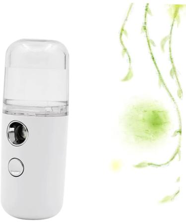 Baluue 2 Pcs Air Humidifier Handy Mini Sprayer Humidifier Face Mist Skin Care Tools for Face Portable White - Buy Online on SooperMarket.com