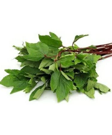 Fresh Gongura leaves Bunch | Single Bunch | Vegetarian | Puntikura Leaf | Pulicha Keerai | Fresh Gongura leaves | High Source | Indian Origin | Approx 200G - Buy Online on SooperMarket.com