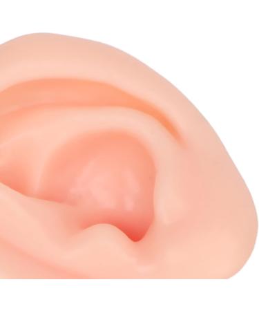 Practice Ear Model Soft Elastic Jewelry Display 1 Pair Ear Model for Beginner for Piercing Salon(Light Skin Color) - Buy Online on SooperMarket.com