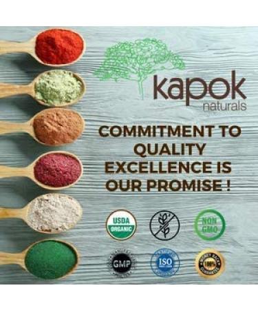 Kapok Naturals Cat's Claw 500mg Capsules - Joint Inflammation & Pain Relief - Digestive Support & Immune Booster - 100 Tablets - Buy Online on SooperMarket.com