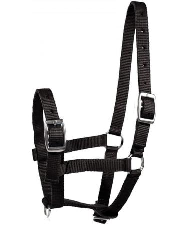 Adjustable Black Foal Halter for Colts, Fillies, and Miniature Horses by HORZE - Buy Online on SooperMarket.com
