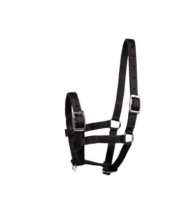 HORZE Adjustable Horse Halter for Foals, Colts, Fillies, Miniature Horses Black Foal