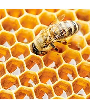 Buy Dr. Ceuracle Royal Vita Propolis Antioxidant Mask 30ml - Best Hydrating & Skin Rejuvenating Face Mask - Shop Internationally - Buy Online on SooperMarket.com