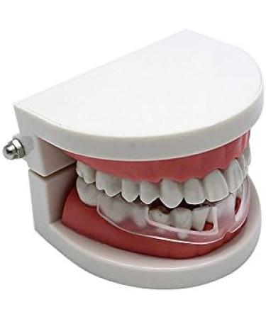 FEDBNET Sport Mouth Guards Clear Mouthguards Transparent Boxing Silicone Braces Dental Mouthguard Teeth Bruxism Grinding Eliminating Tightening Product - Buy Online on SooperMarket.com