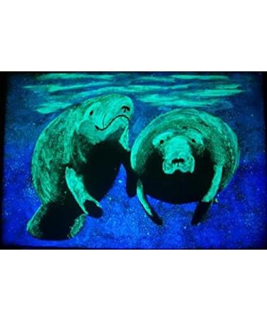 Glow in The Dark Pigment Powder - Neutral and Fluorescent Colors for Art, Nail Art, and DIY Crafts - Non-Toxic, Long Lasting - 10+ Color Options - 1 Ounce/30 Grams (Neutral Green) - Buy Online on SooperMarket.com