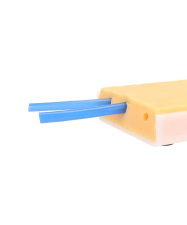Venipuncture Pad - Silicone Injection Training Pad for Students - Reusable & Accurate Simulation - Buy Online on SooperMarket.com