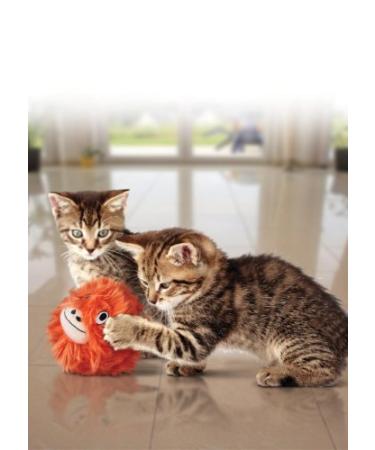 KONG Softies Patchwork Bear Cat Toy (Assorted Designs) - Buy Online on SooperMarket.com