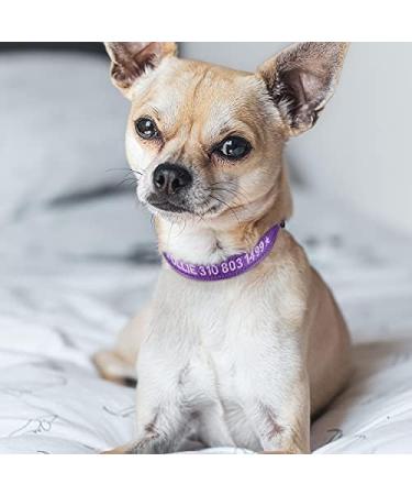 Buy Tagme Personalized Purple Dog Collar for Small Dogs | Embroidered Reflective Nylon with Pet Name & Phone Number - International Shipping Available - Buy Online on SooperMarket.com