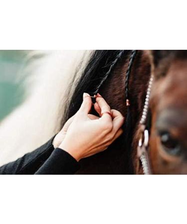 Animalon Mane Gum for Horses | Tear-Resistant Silicone Mane Accessories | 300 Pieces | Ideal for Horse Hairstyles and Grooming - Buy Online on SooperMarket.com