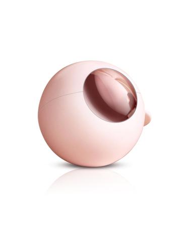 Reusable Gel Lint Roller Washable Mini Lint Roller with Cover Portable Travel Dustproof Lint Remover for On the Go (Pink)