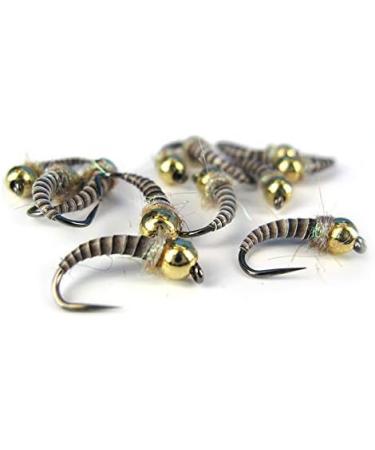 Hemingway's Synthetic Tapered Peacock Quill Set - Pack of 6 - Buy Online on SooperMarket.com