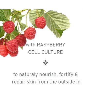 Kerstin Florian Clarifying BerryPlus Repair Serum | Anti-Aging Facial Serum for All Skin Types - 30ml (1 fl. oz.) International Shipping Available - Buy Online on SooperMarket.com