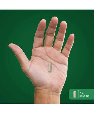 LLK Senna Leaves 450mg Capsules - 100 Quick Release, Non-GMO & Gluten Free - Buy Online on SooperMarket.com