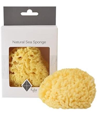 Kyte BABY Natural Sea Sponge 4-5 Inches | Gentle and Eco-Friendly Bath Sponge - Buy Online on SooperMarket.com