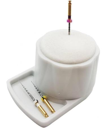Dental Endo File Holder with Sponges Base Endo File Clean Stand Cleaning Foam File Dental Care Supplies for Dentist Clean - Buy Online on SooperMarket.com