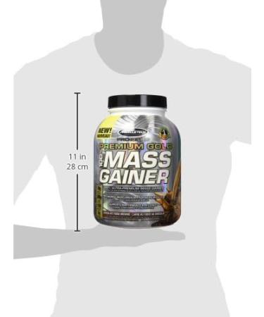 MuscleTech Mass Gainer MuscleTech 100% Mass Gainer Protein Powder Protein Powder for Muscle Gain Whey Protein + Muscle Builder Weight Gainer Protein Powder Creatine Supplements Chocolate Fudge Brownie 4 Pounds - Buy Online on SooperMarket.com