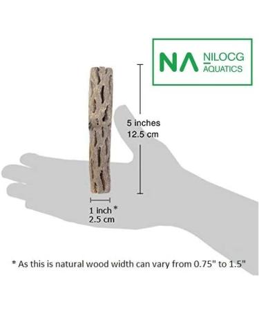NApremium Natural Cholla Wood. Long Natural Cholla Wood for Aquarium Decoration  Hermit Crabs  Shrimp. 3x 5-6 Inch Cholla - Buy Online on SooperMarket.com