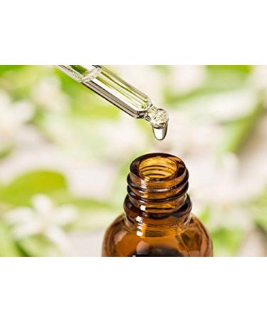 100% Pure Salvia Bhringraj Oil - Undiluted Cold Pressed - Therapeutic Grade Aromatherapy & Skin Care Oil (3.38 Fl Oz - Buy Online on SooperMarket.com