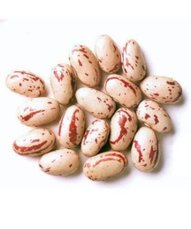 Rosecoco Beans/Crab Eye Beans - 1.5kg