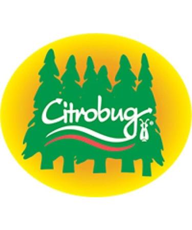 Citrobug - Essential Oils Based All Natural Mosquito/Insect Repellent (250ml) 125 ml (Pack of 1) Clear - Buy Online on SooperMarket.com