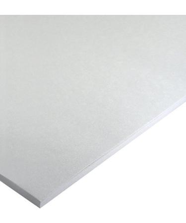 Bee Paper Rough Newsprint Pack, 18-Inch by 24-Inch, 100 Sheets per Pack 18-inch x 24-inch, 100 Sheet Pack