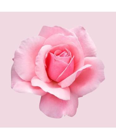 Hugo Boss Ma Vie Eau de Parfum Women's Floral Perfume With Notes of Cactus Blossom Rose Bud & Cedarwood Luxury Perfumes for Women Long Lasting Fragrance 2.5 Ounce (Pack of 1) - Buy Online on SooperMarket.com