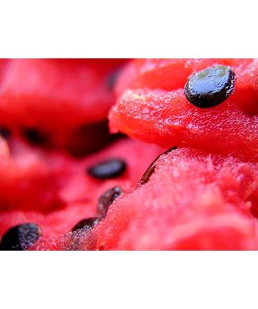 100% Organic Watermelon Seed Oil - Pure Cold-Pressed Moisturizer for Skin Hair & Face | Imported from Egypt | Sweet Essentials (2 fl oz - Buy Online on SooperMarket.com