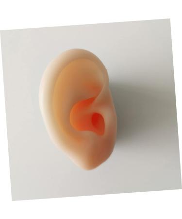 Silicone Ear Models for Ear Picking and Display - 1 Pair - Buy Online on SooperMarket.com