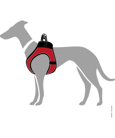 HUNTER HILO COMFORT Harness for Small Dogs - Mesh & Reflective Elements Red - Size ML | International Shipping - Buy Online on SooperMarket.com