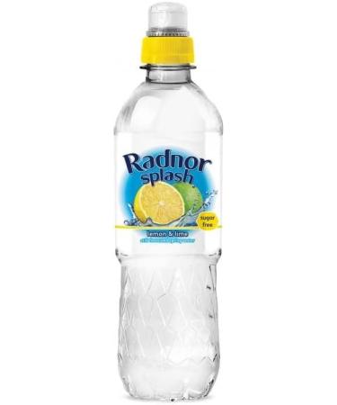 Radnor Splash Lemon & Lime Still Flavoured Spring Water | Sugar Free | Refreshing | Natural Taste | 12 x500ml Lemon 500 ml (Pack of 12)