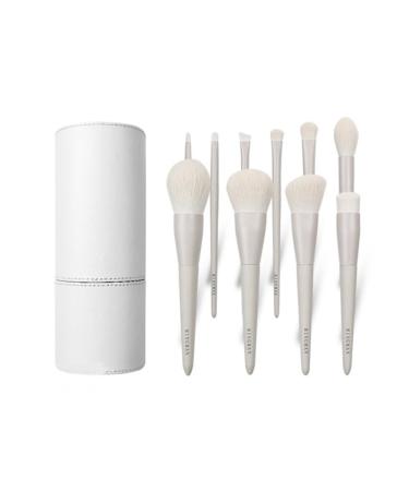 Evvmnaks 10 Makeup Brushes Set Professional Makeup Brush Set for Makeup Artist Mute Grey Portable