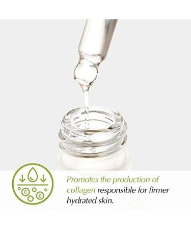 Potions Peptide Ampoule for Face - Collagen Support & Elasticity | Korean Skincare | Cruelty-Free & Hypoallergenic - 50ml - Buy Online on SooperMarket.com