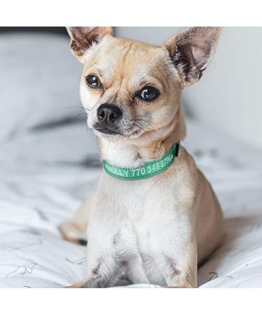Tagme Personalized Dog Collar for Small Dogs - Embroidered Reflective Nylon Collar with Pet Name & Phone Number - Turquoise XS (1 Pack) - Buy Online on SooperMarket.com