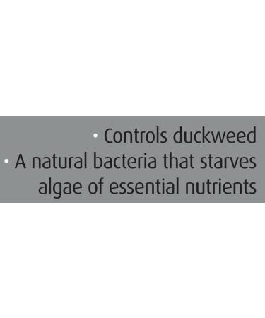 Blagdon Pond Duckweed Buster 500ml - Natural Control for Duckweed in Ponds, Treats 4 546 Litres - Buy Online on SooperMarket.com