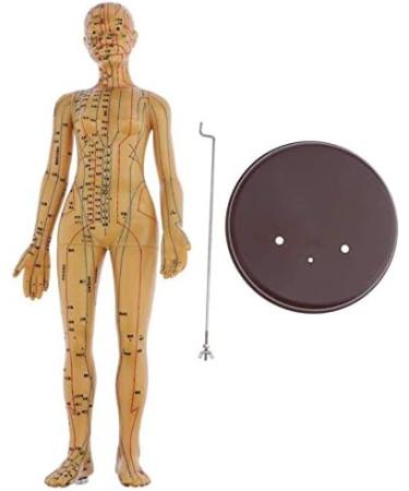 48Cm Model Anatomy Professional Medical Acupuncture Female with Meridian Points Soft Vinyl Material - Buy Online on SooperMarket.com