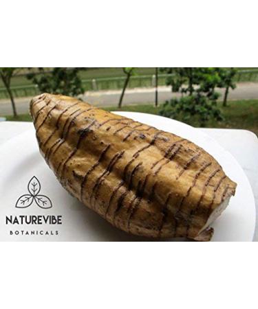 Naturevibe Botanicals Organic Arrowroot Powder 16oz | Gluten-Free Non-GMO Thickening Agent for Cooking & Baking - Manihot esculenta Starch | Packaging May Vary - 1lb - Buy Online on SooperMarket.com
